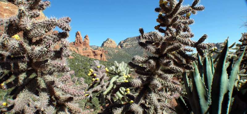 Arizona USA TSC & ADC 2012