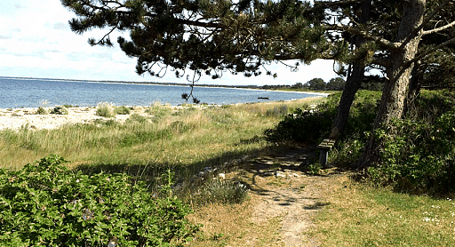 Martinus' bench - Martinus Center Klint, DK (June 2015)