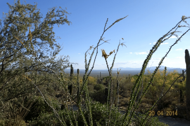 TSC 2014, University of Arizona, Tucson 