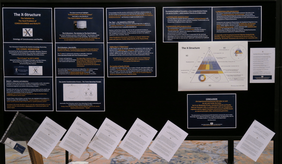 The X-Stucture  NCP X-AIONS,  TSC 2016